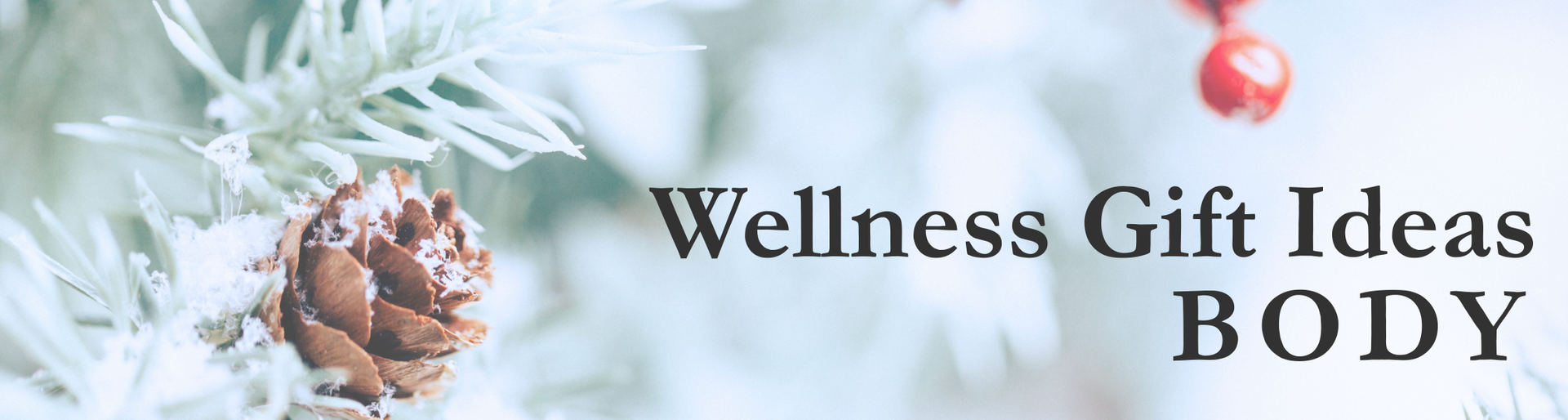 Flat-lay of a winter scene with snow-covered pine branches, pinecones, and red berries introducing wellness gift ideas for the body.