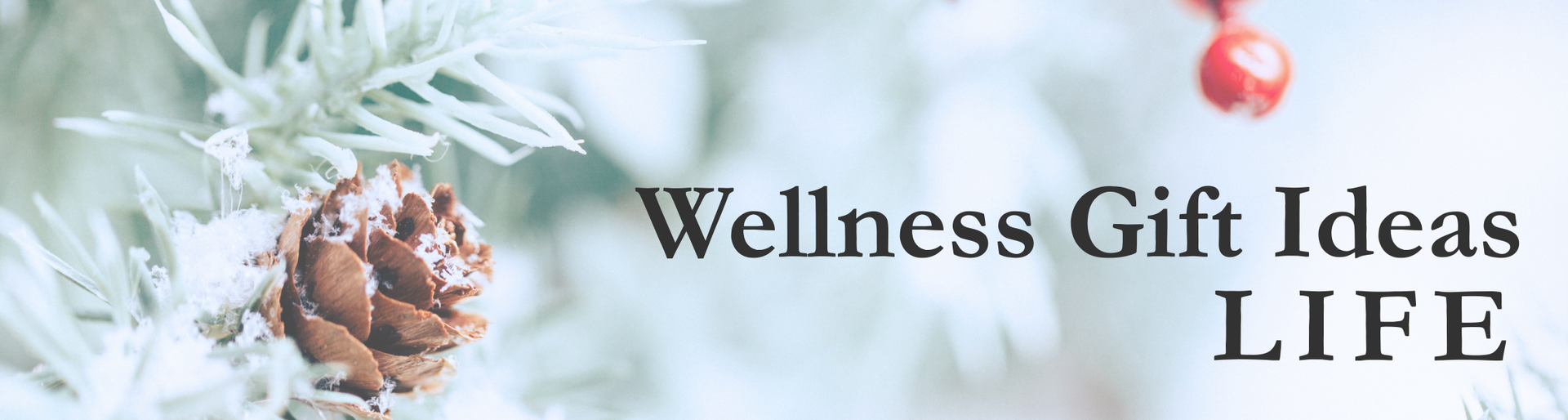 Flat-lay of a winter scene with snow-covered pine branches, pinecones, and red berries introducing wellness gift ideas for the life.