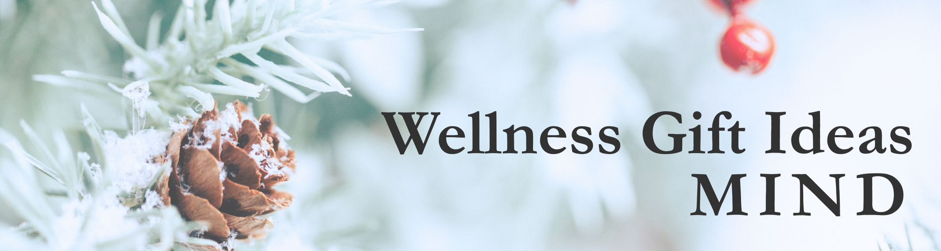 Flat-lay of a winter scene with snow-covered pine branches, pinecones, and red berries introducing wellness gift ideas for the mind.