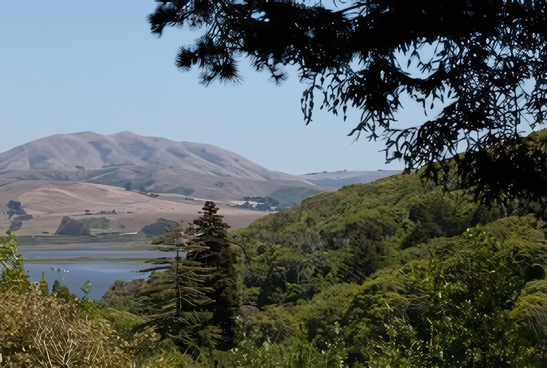 A view of a lake through trees with mountains in the background