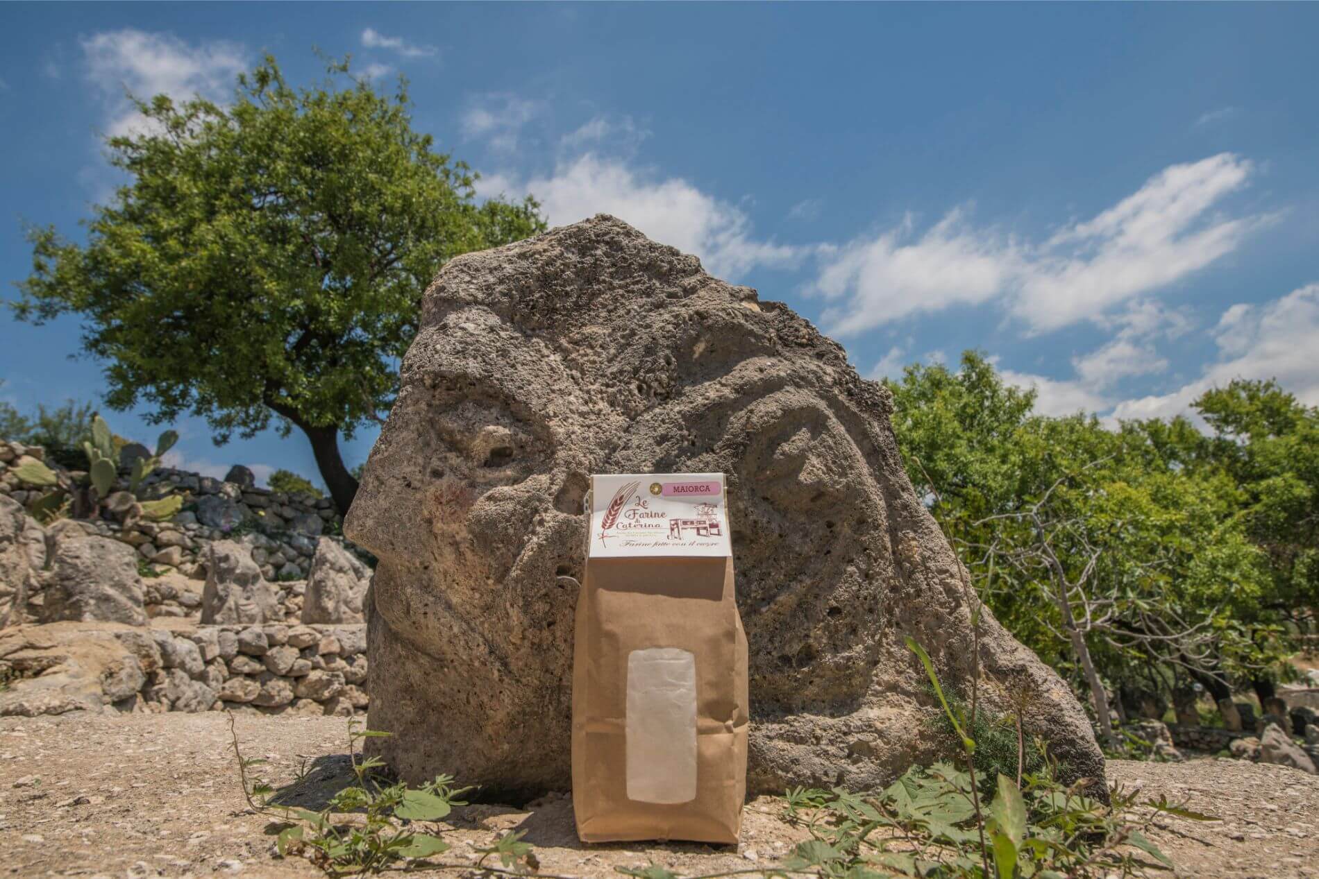 Testa di pietra e farina