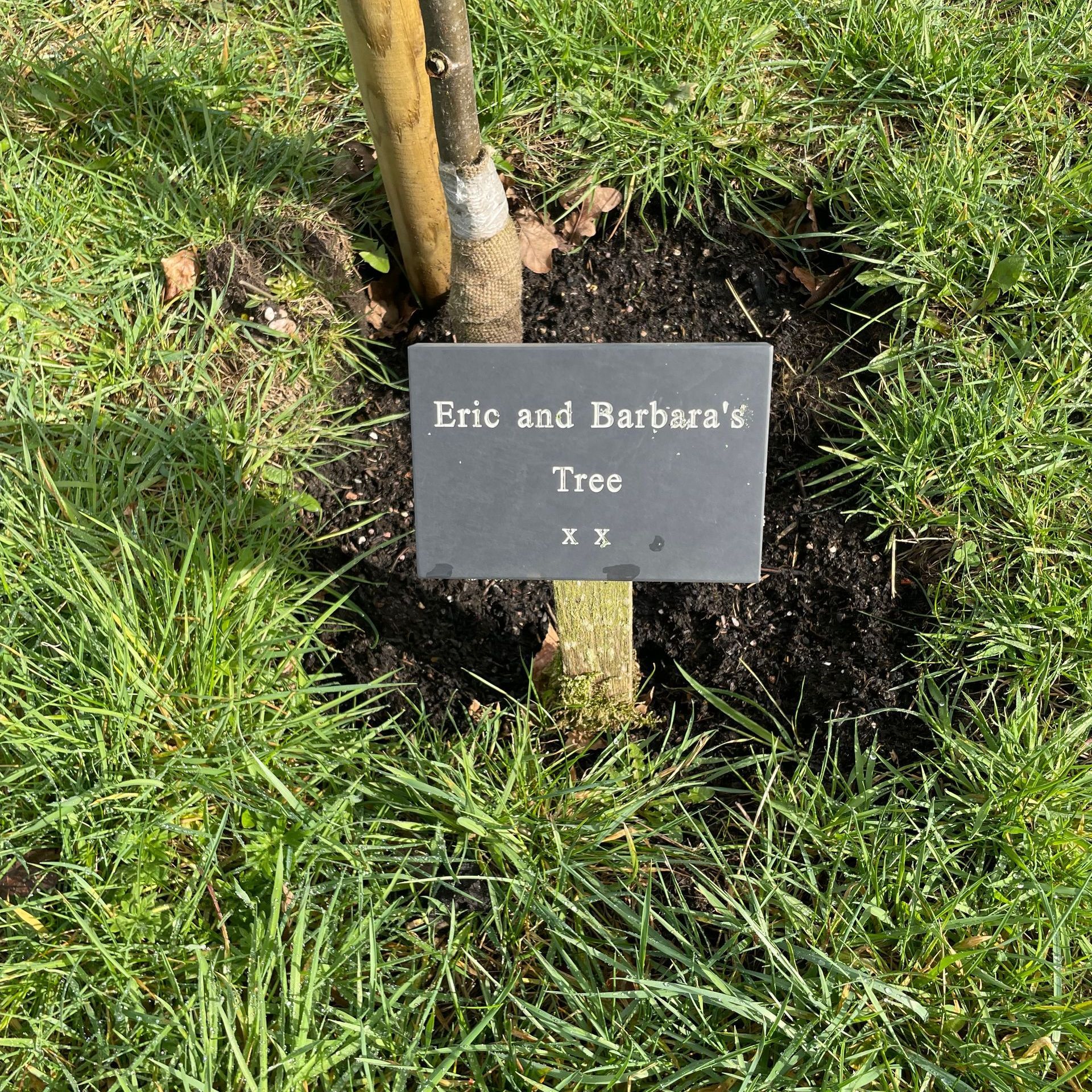 A tree with a sign that says eric and barbara 's tree