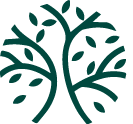 A green tree with leaves in a circle on a white background.