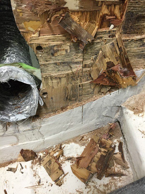 Water damaged transom removal and installation