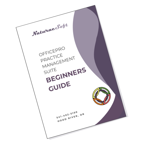 The Beginners Guide preview