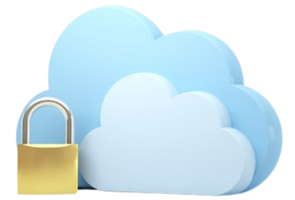 Secure and robust cloud based practice management services. 