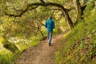 A person in a blue jacket walks away along a sunlit, narrow dirt path winding through a wooded forest.