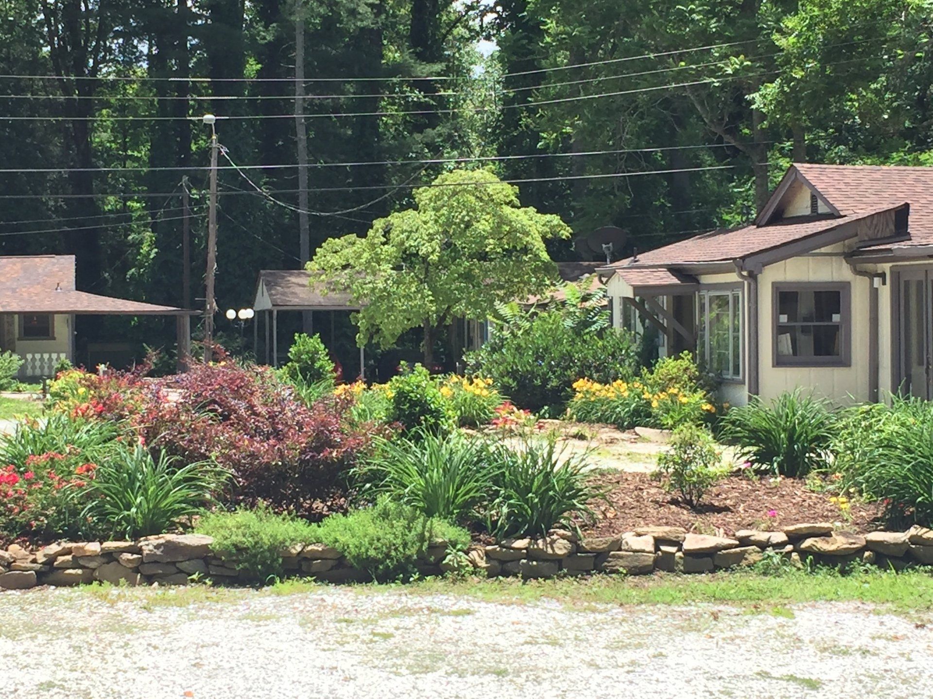 Snapdragon Apartments Photo Gallery