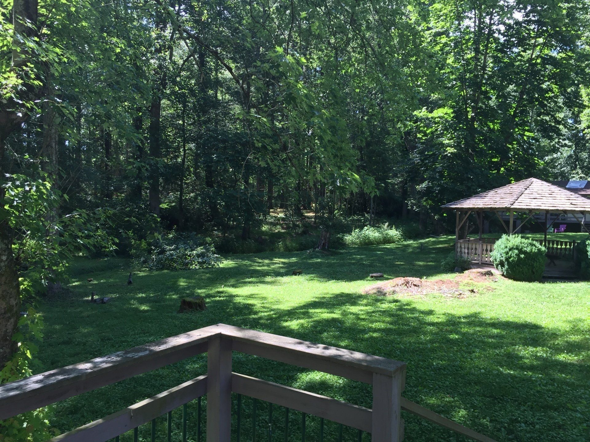 Snapdragon Apartments Photo Gallery