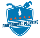 Professional Plumbing