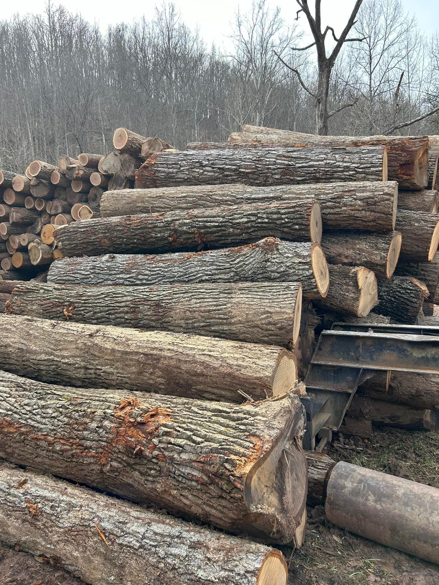 Logs stacked in a rural setting, potentially for lumber production. Brown bark, cut ends.