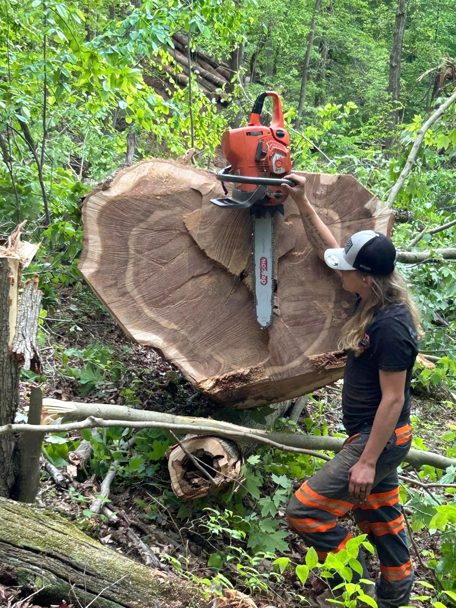 Person using chainsaw on a large, cut tree trunk in a forest.