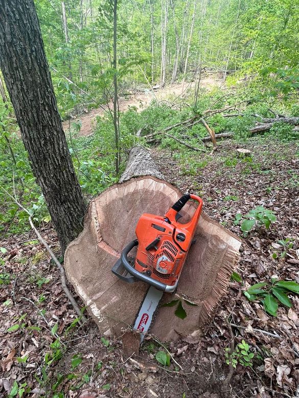 Orange chainsaw rests on a tree stump in a wooded area.