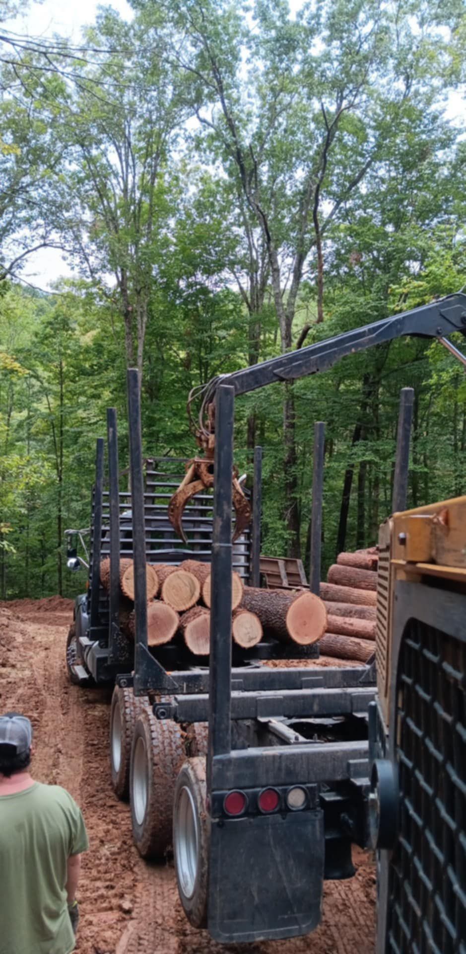 A truck loaded with logs, being loaded by a mechanical arm, in a forest setting.