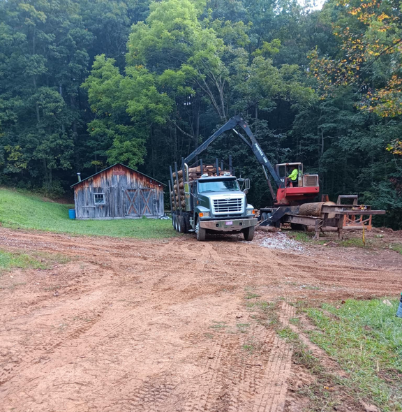 Logging truck being loaded by an excavator in a forest setting, with a small wooden building visible.