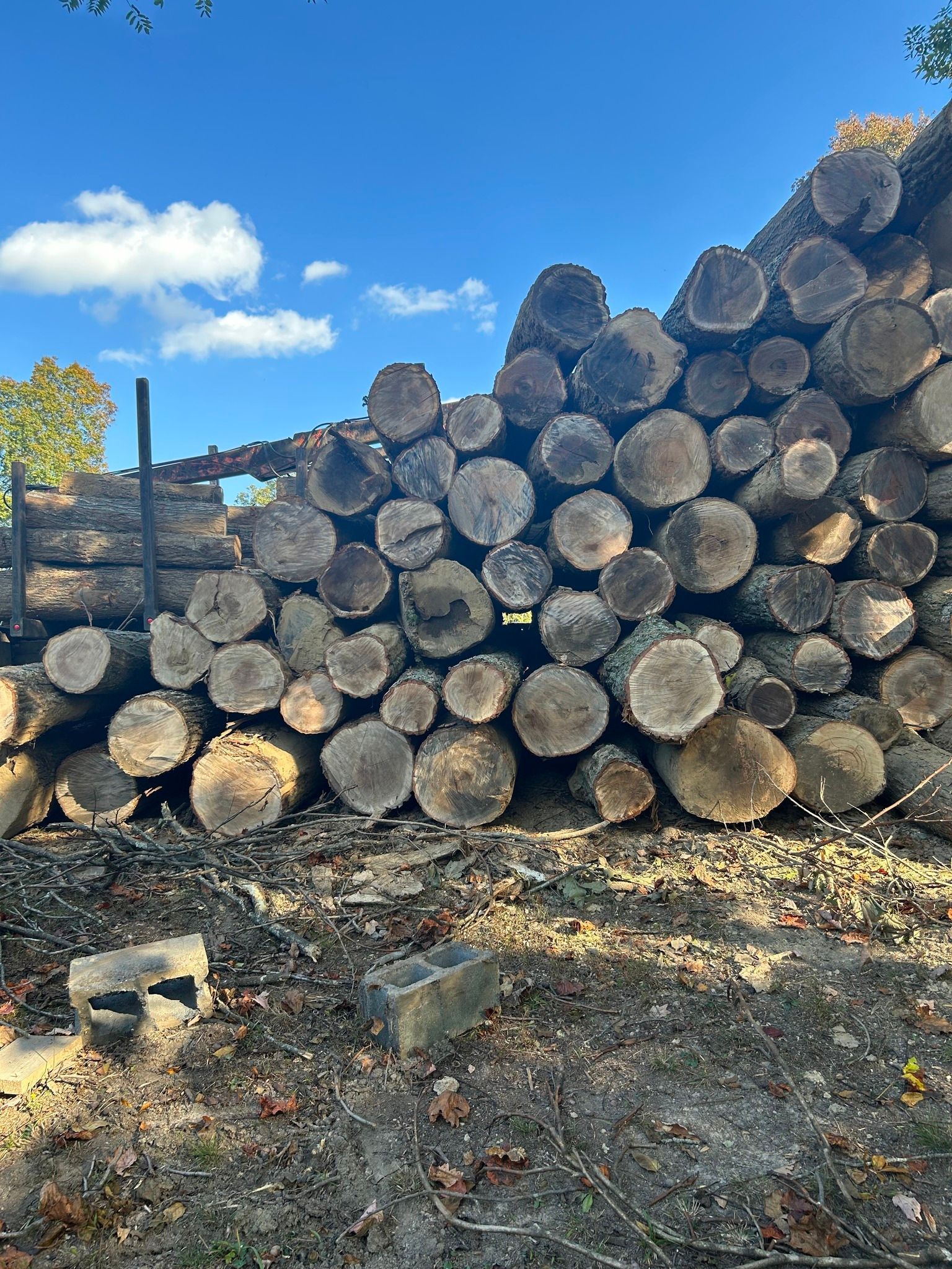 Pile of cut logs stacked outdoors, on a sunny day, against a blue sky.