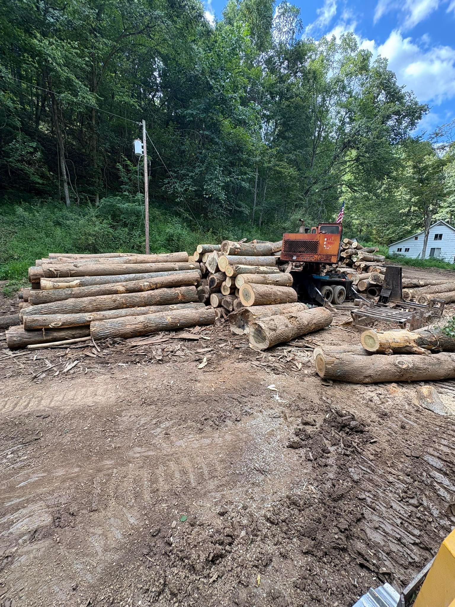 Logs piled on the ground with an orange piece of machinery nearby, in a wooded outdoor setting.
