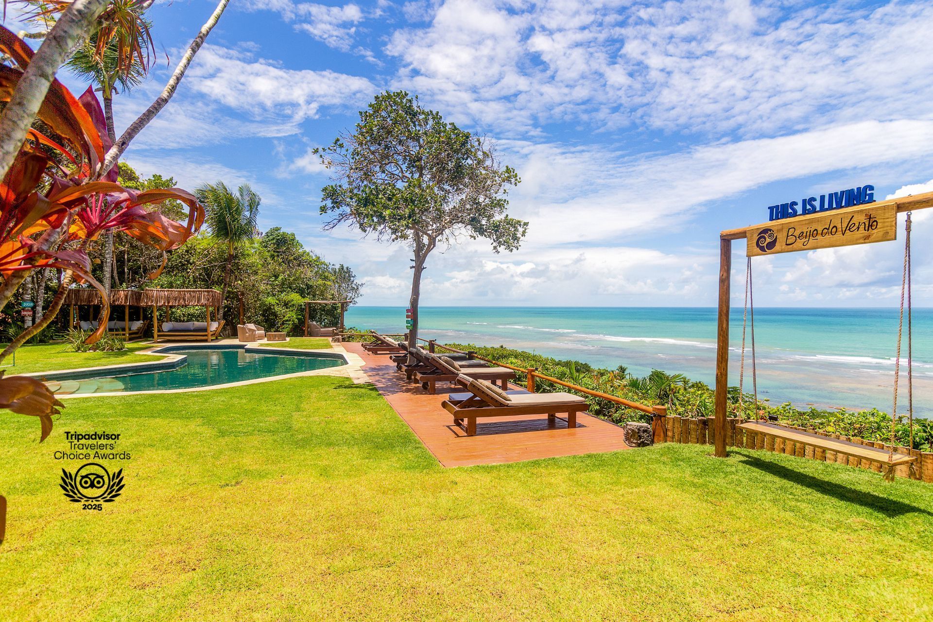 Há um balanço no meio da grama com vista para o oceano.