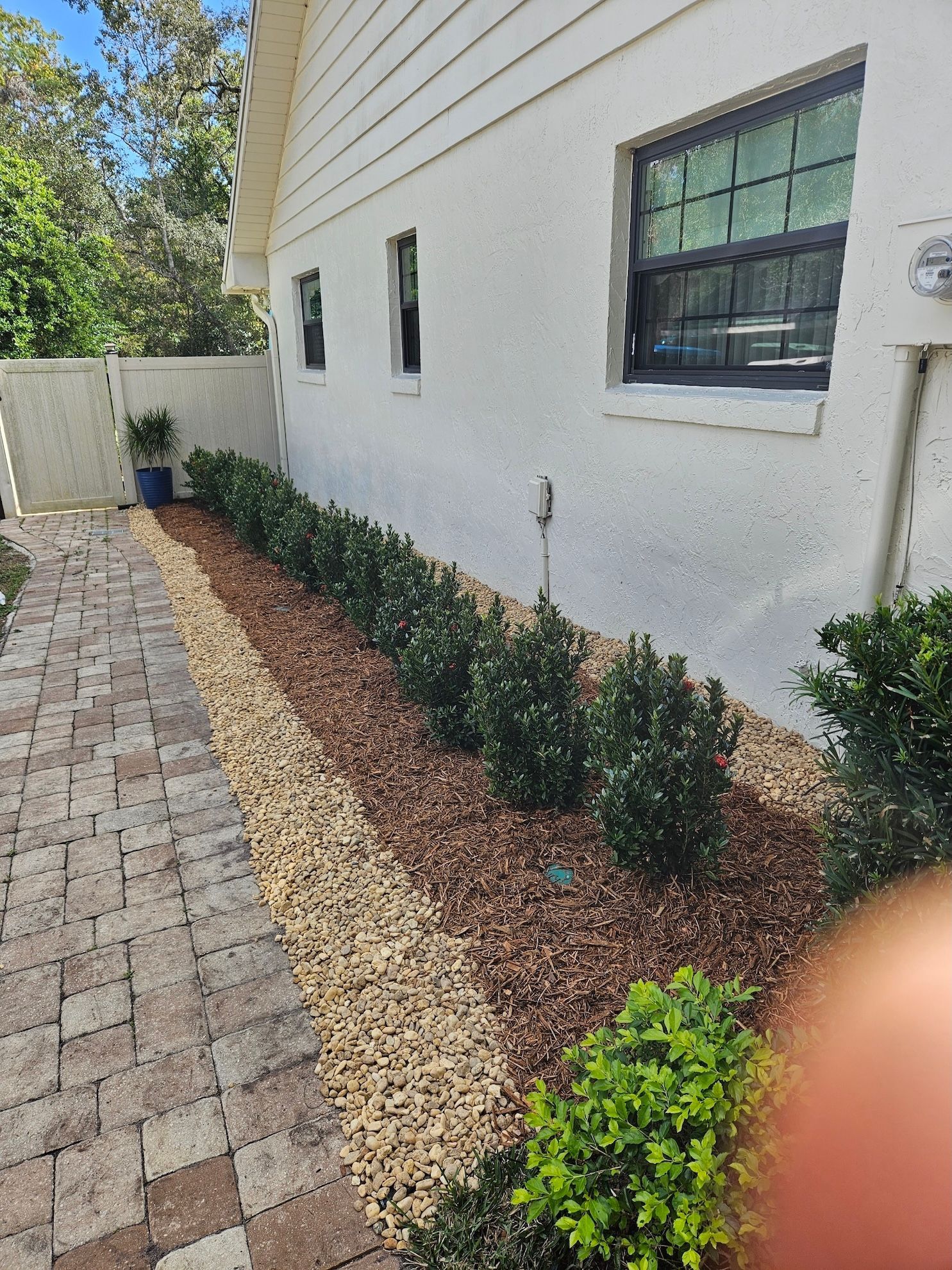 completed side yard plant installation