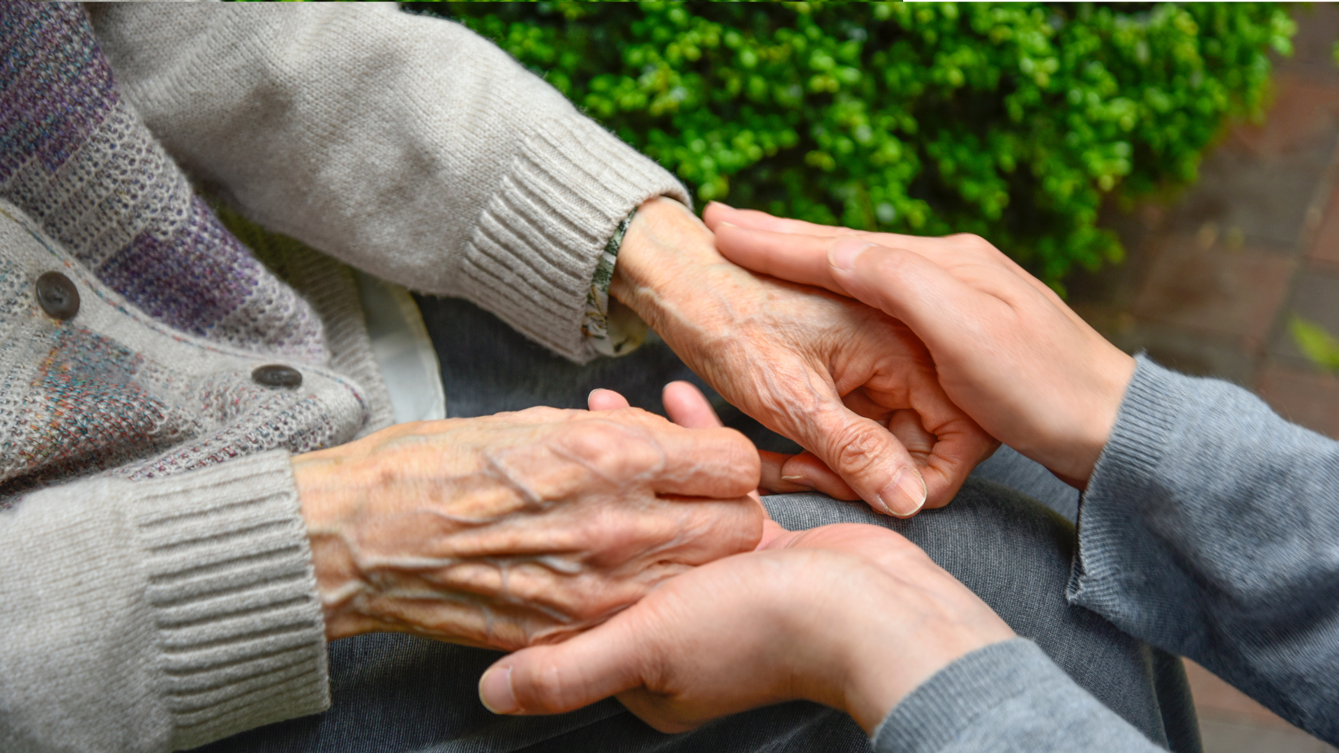 A person is holding the hands of an elderly woman.