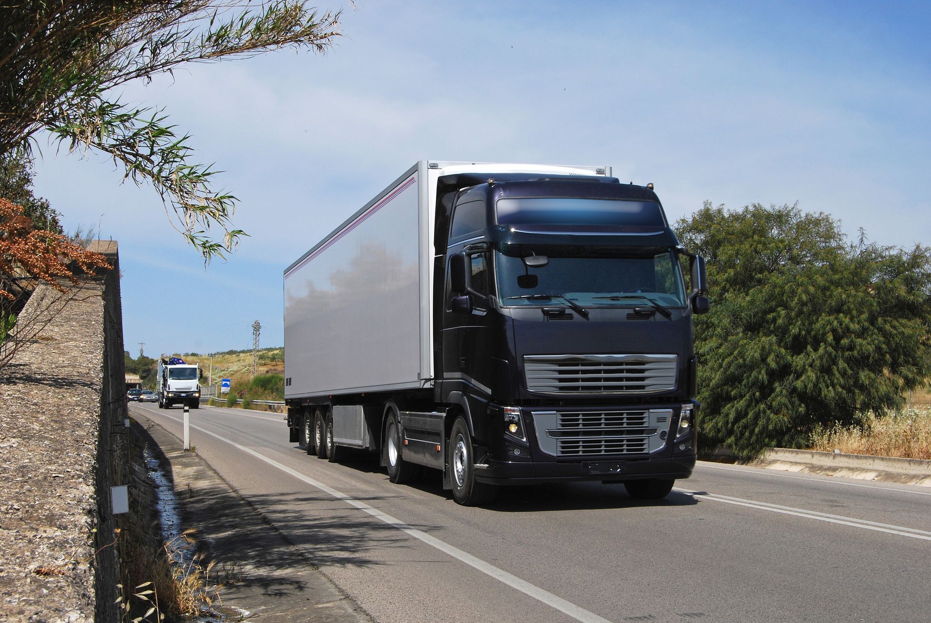 Un camion bianco sta percorrendo un'autostrada.