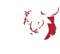 Toro Complete Services, INC. Icon