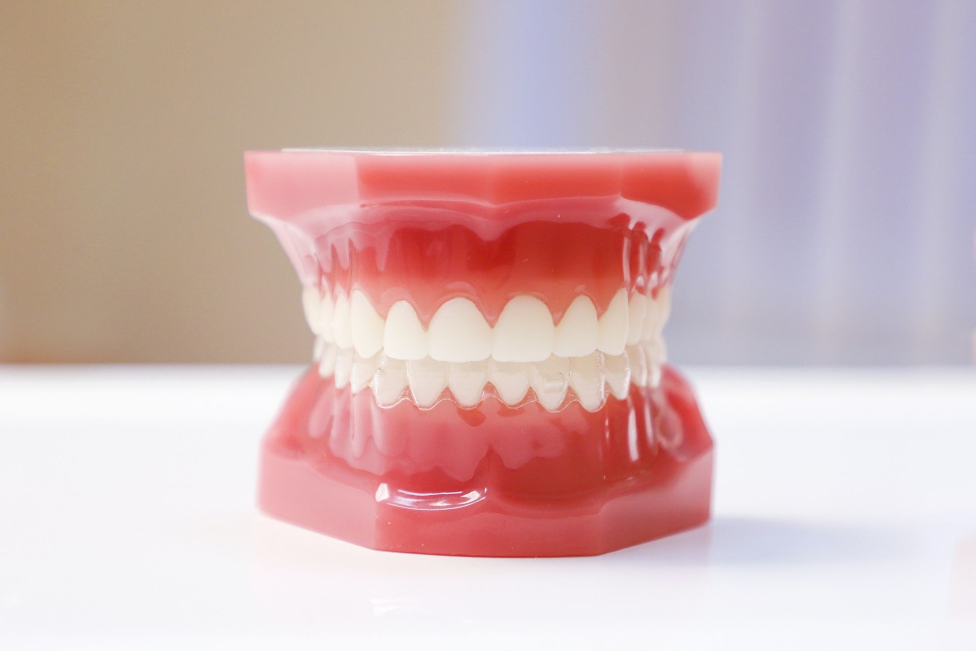 Teeth model with perfectly straight and white teeth, on top of a white table with a blurry backgroun