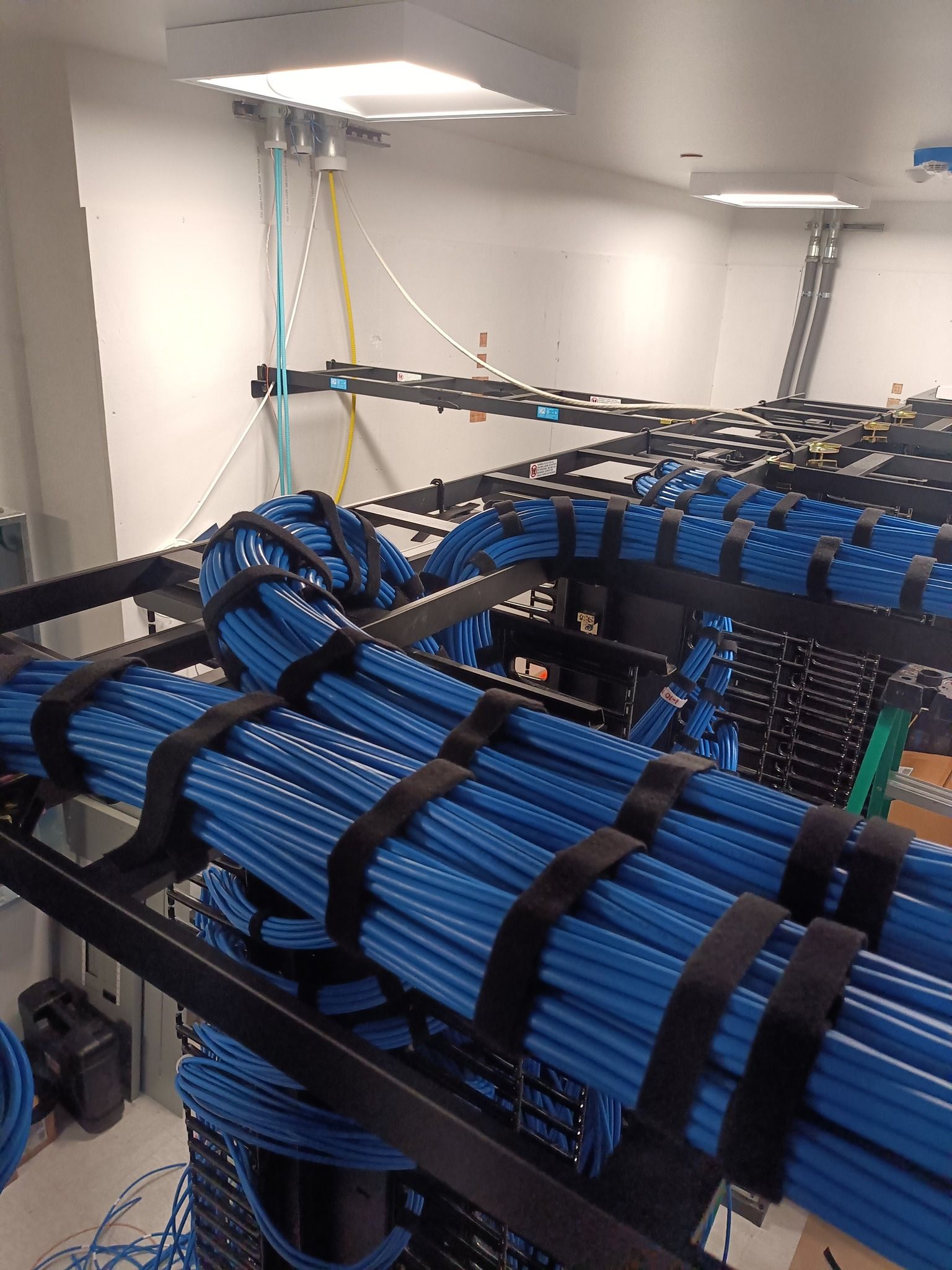 Blue network cables bundled and secured on black racks in a server room.