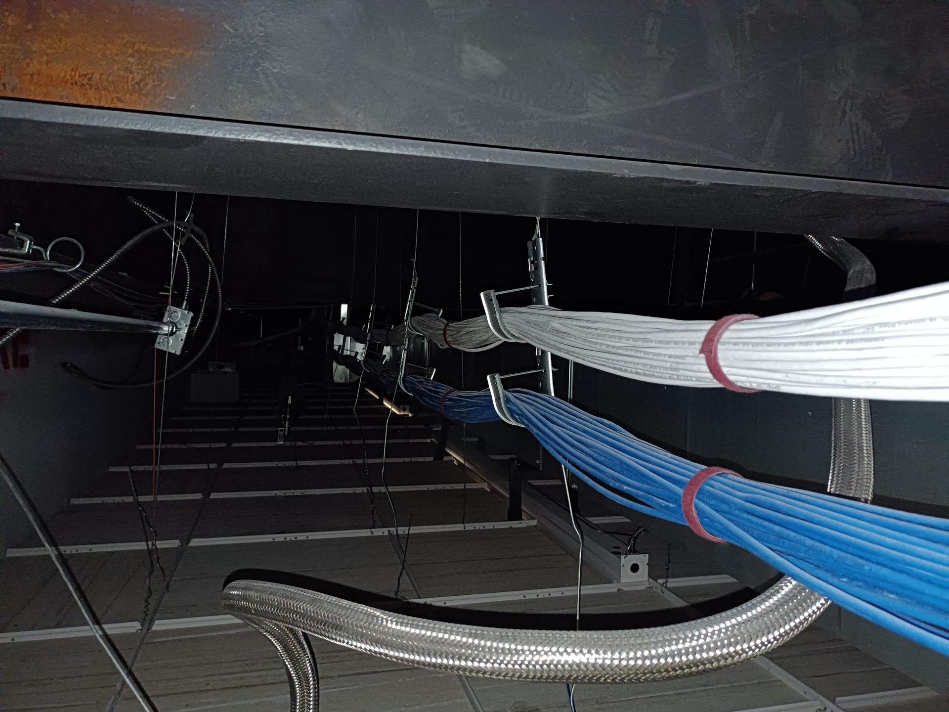 Bundles of blue and white cables secured with clamps and red bands, running along a dark ceiling.