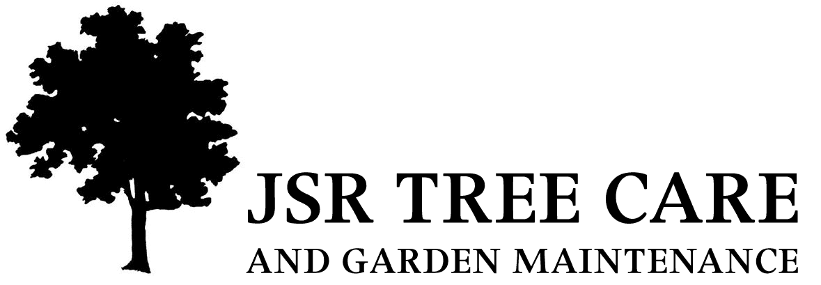 JSR TREE CARE logo
