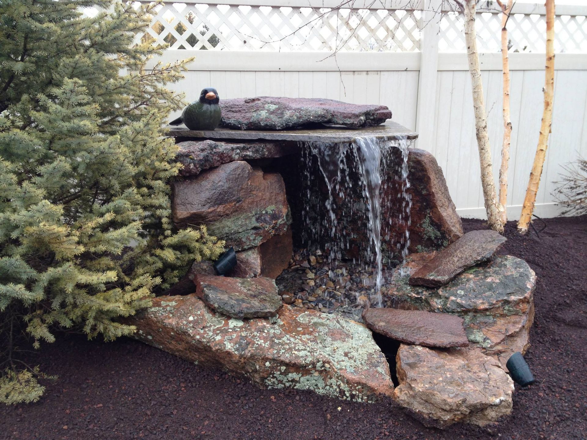 A stone water feature sits in a garden bed with a small bird statue on top, next to a spruce tree and birch saplings.