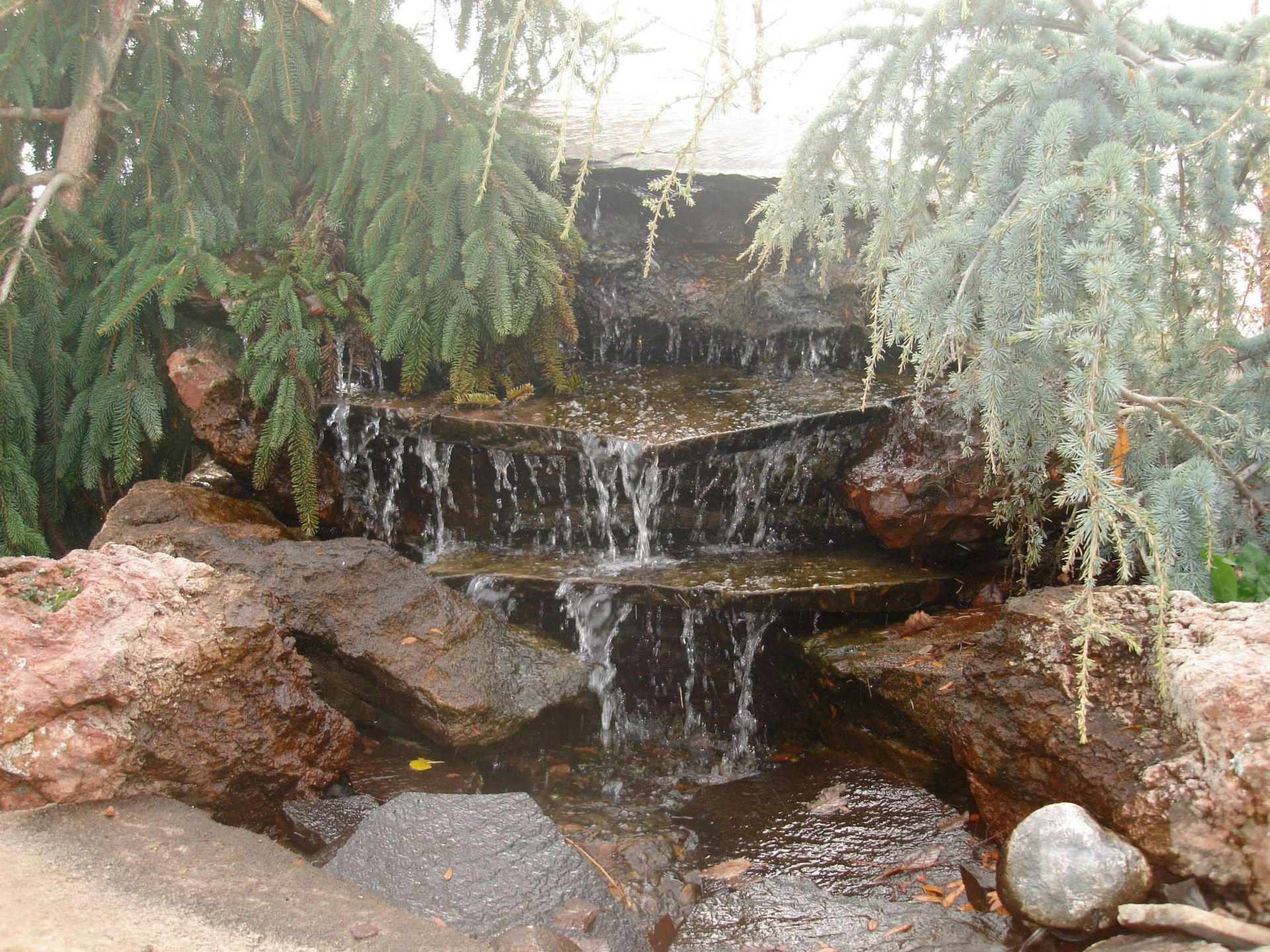 A small, tiered stone waterfall trickling into a pool, surrounded by evergreen branches and rocks.