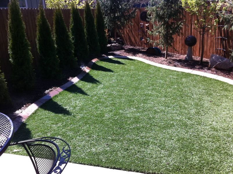 A small, lush green synthetic lawn bordered by pavers, with a row of evergreen trees and a wood fence in the background.