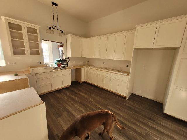 A dog is standing in a kitchen with white cabinets.