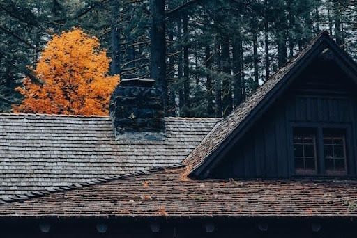 Roof Maintenance