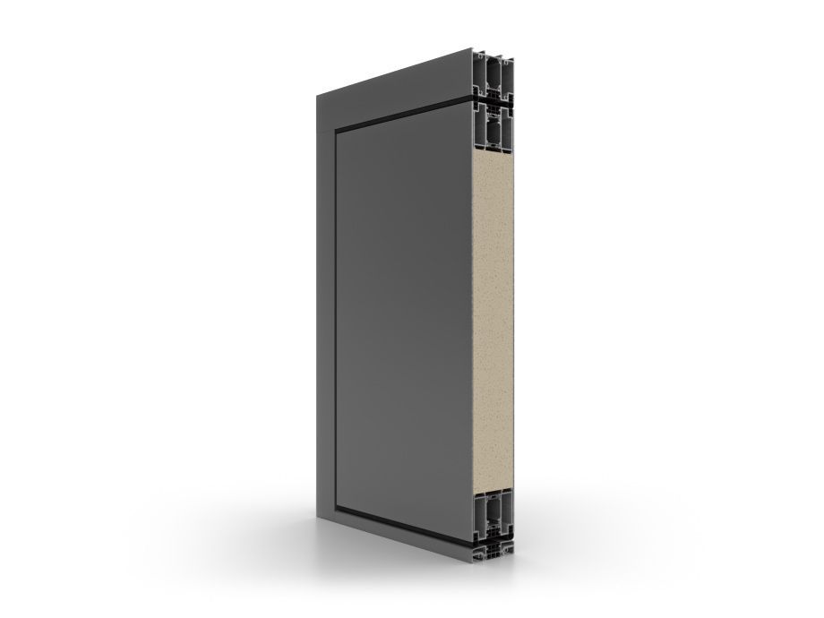 ALUMINIUM PIVOT DOORS