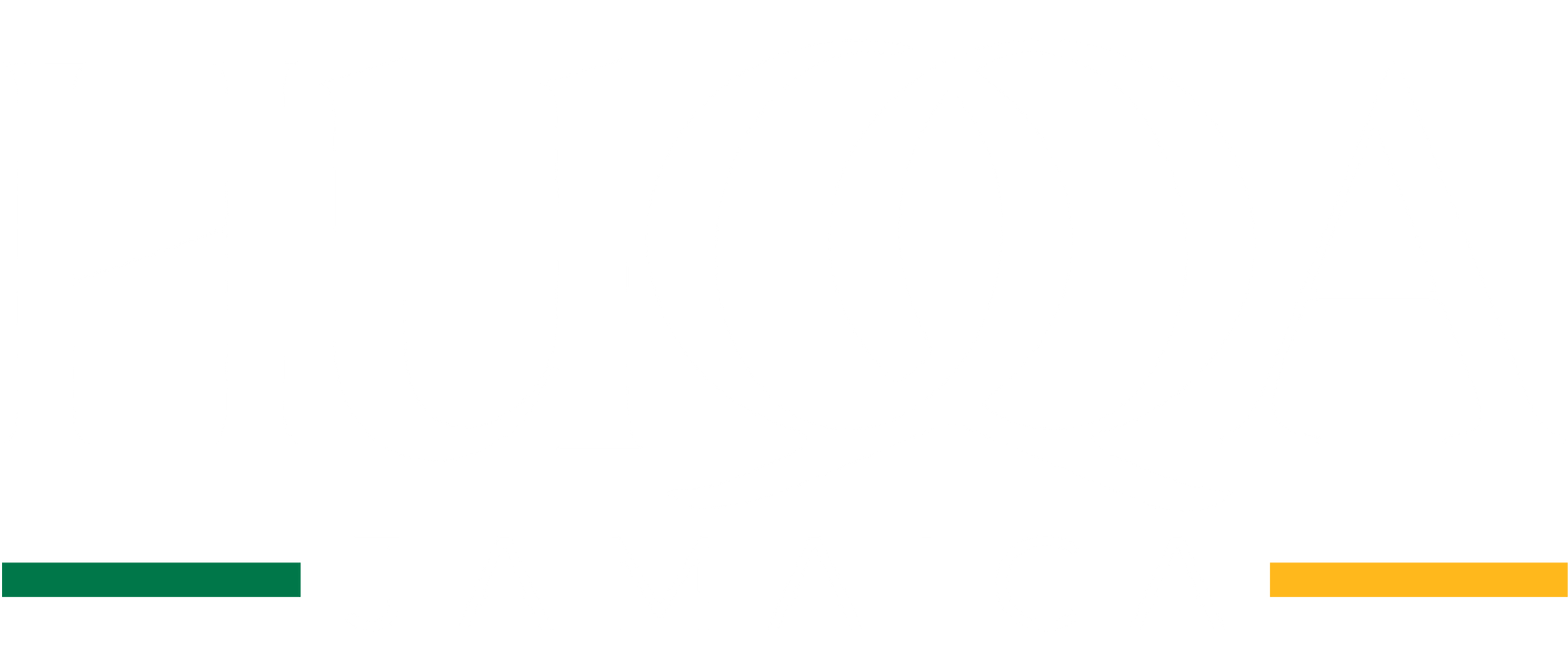 Two horizontal lines, one green and one gold, on a white background.