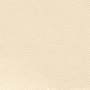 Cream Brisa Fabric