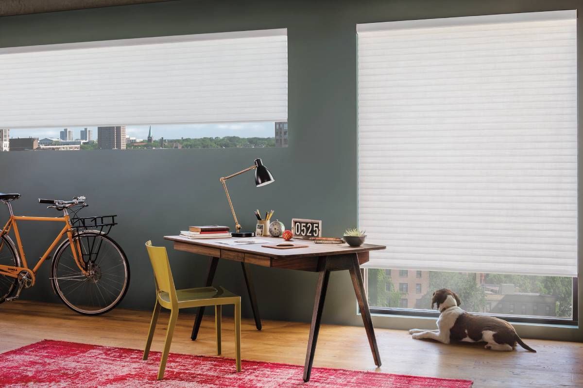 Hunter Douglas Sonnette® Roller Shades near Lutherville, Maryland (MD)