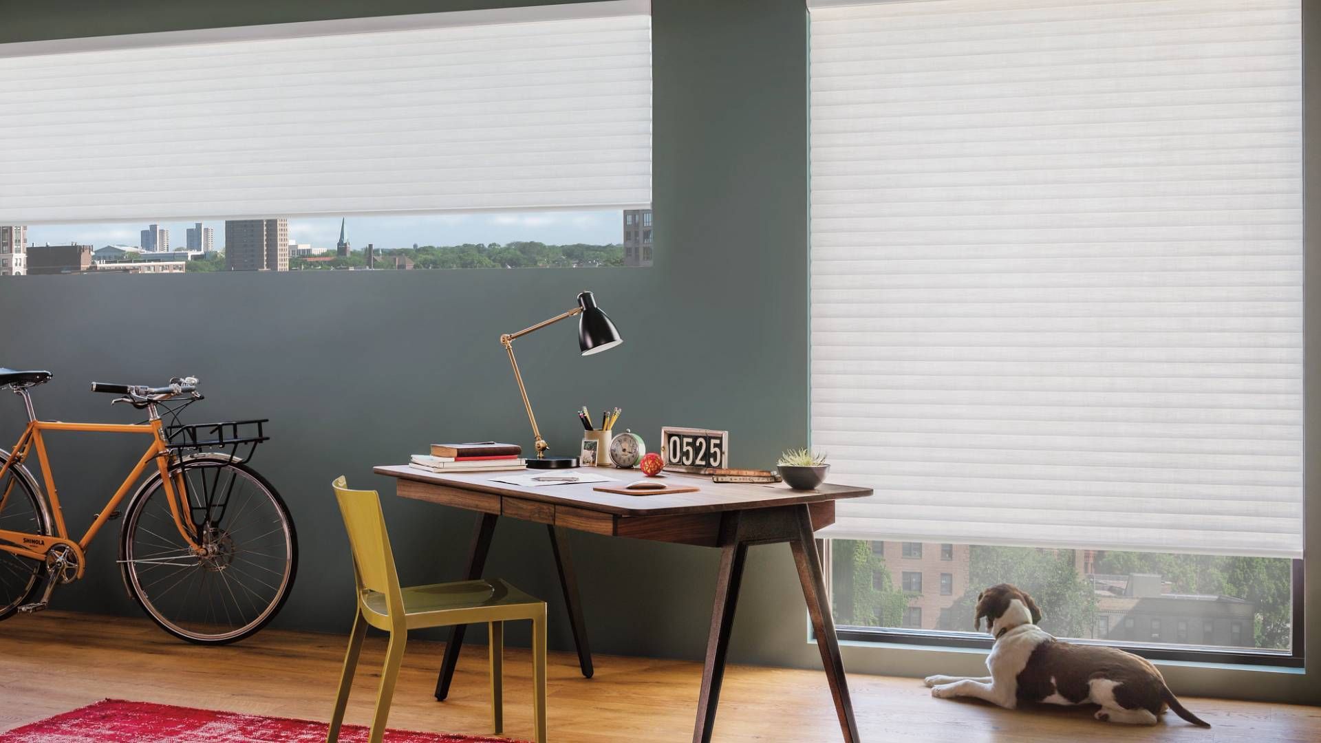 Hunter Douglas Sonnette® Roller Shades near Lutherville, Maryland (MD) 