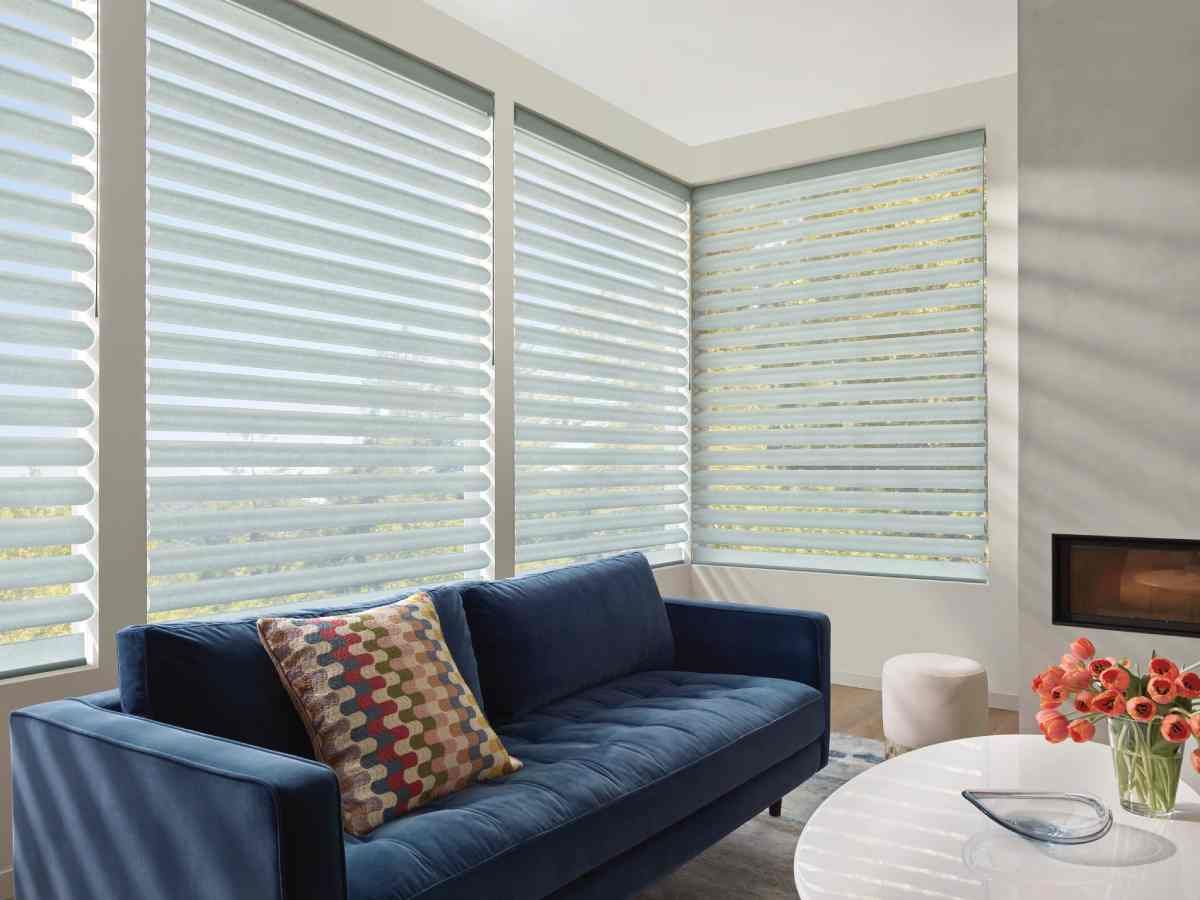 Hunter Douglas Pirouette® Sheer Shades near Lutherville, Maryland (MD)