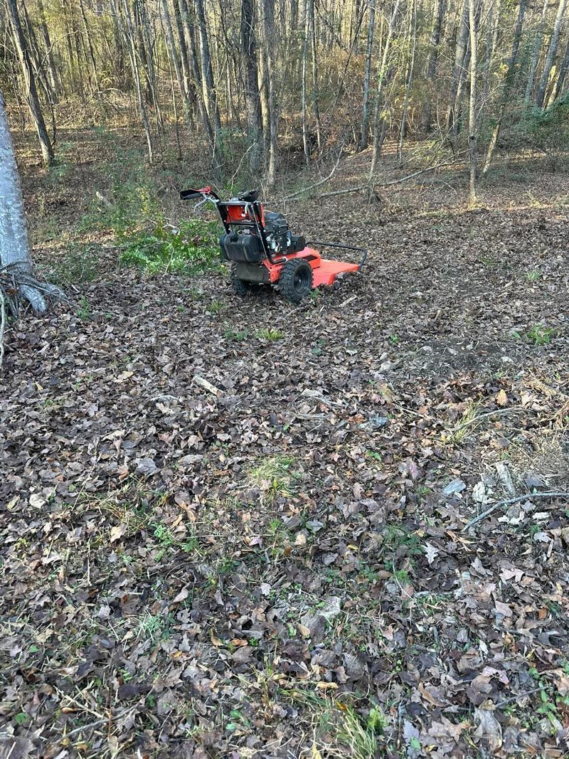 A lawn mower is sitting on top of a pile of leaves in the woods.