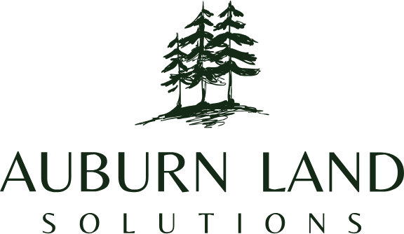 commercial construction support Auburn