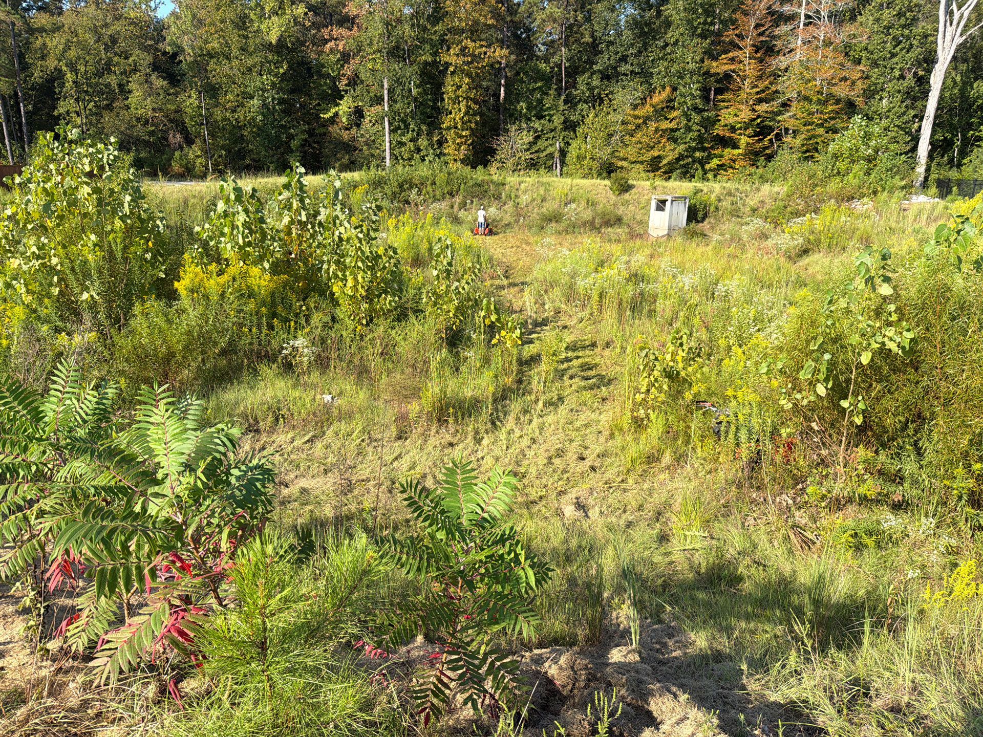 exterior construction cleanup
