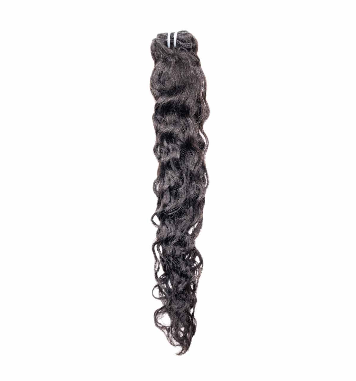 A close up of a piece of curly hair on a white background.