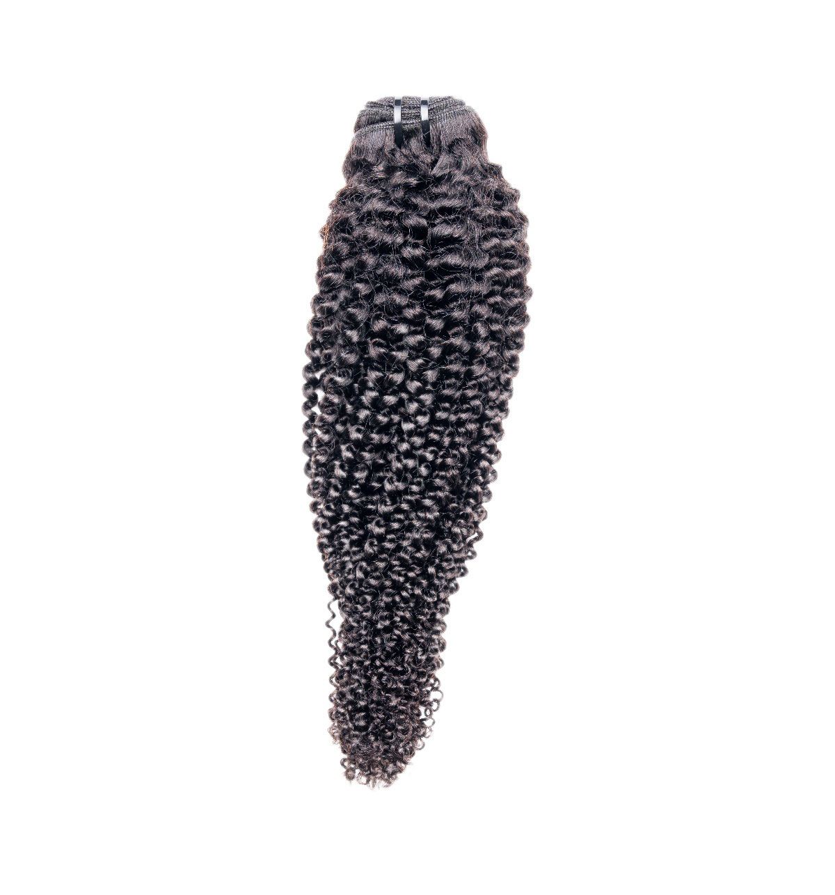 A close up of a piece of curly hair on a white background.