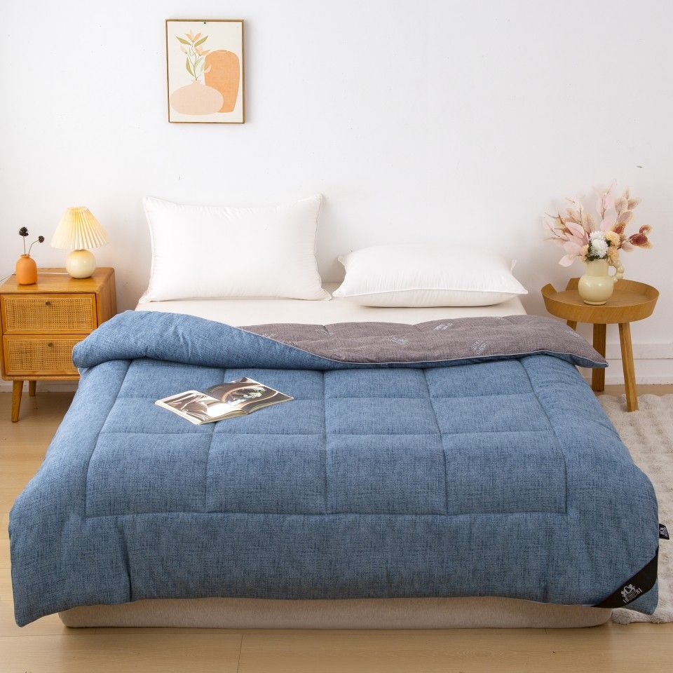 NINO1881量子遠紅外線石墨烯膠原蛋白銀離子抗菌被2.2KG