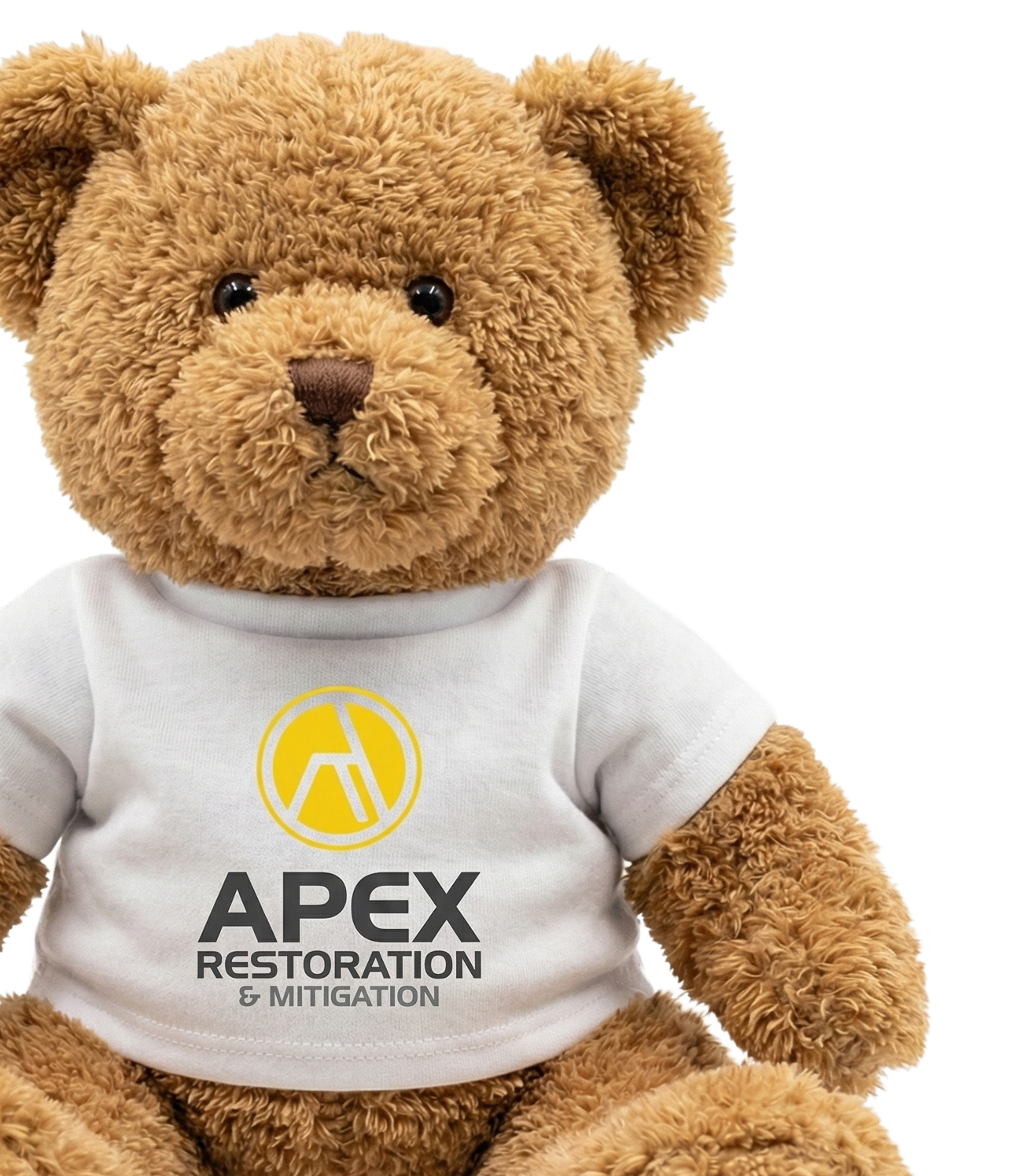 Teddy bear wearing a white t-shirt with