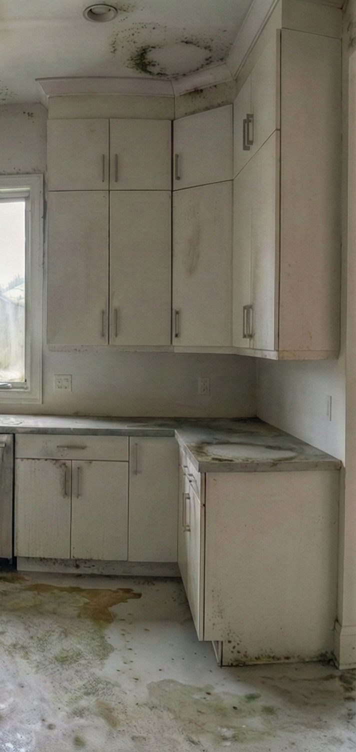 Mold-covered kitchen, white cabinets, and stained floor.