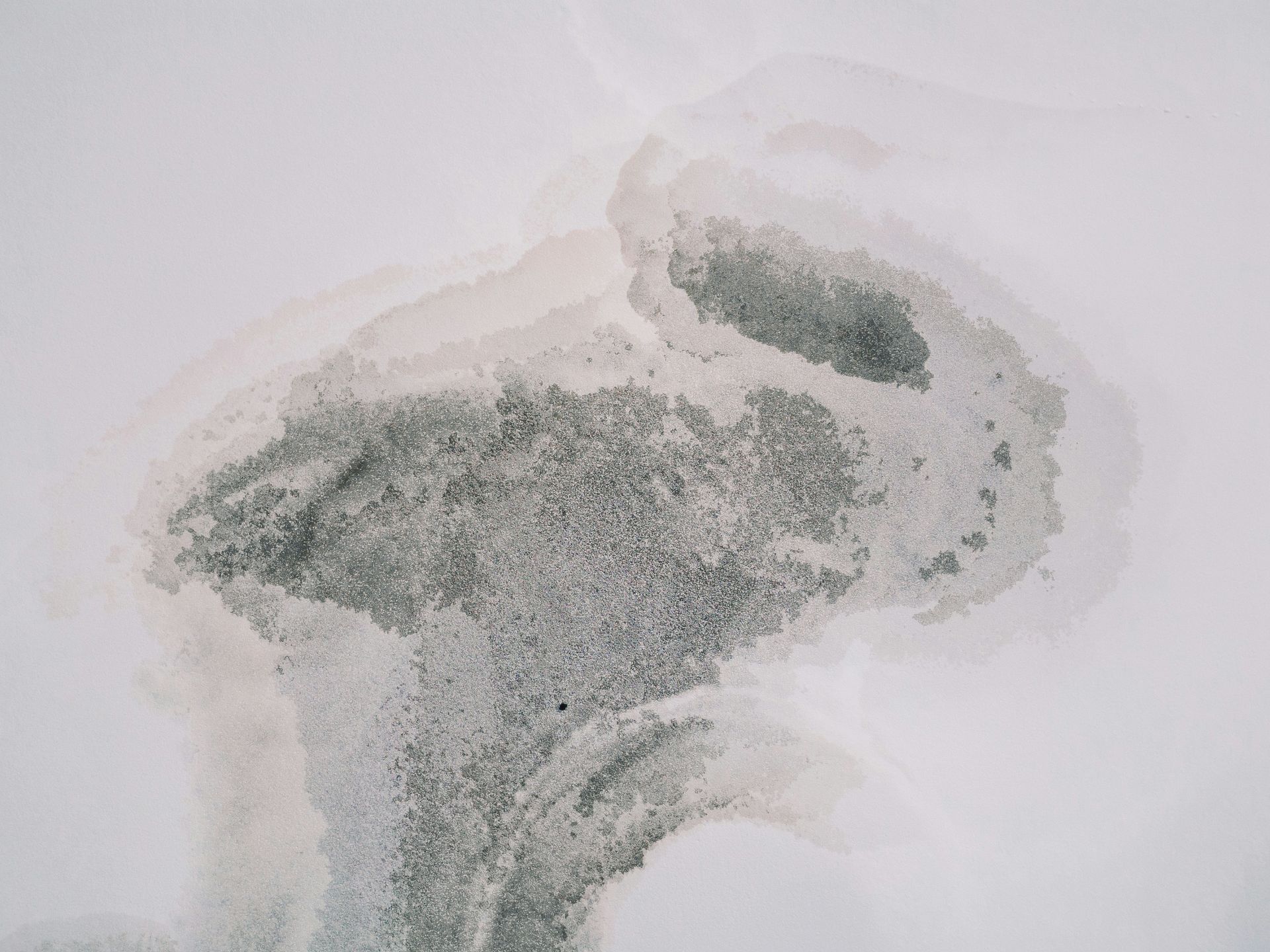 Abstract gray and green watercolor-like shape on a white background